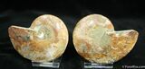 Inch Polished Pair From Madagascar #1443-2